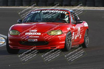 media/Jan-25-2025-CalClub SCCA (Sat) [[03c98a249e]]/Race 4/